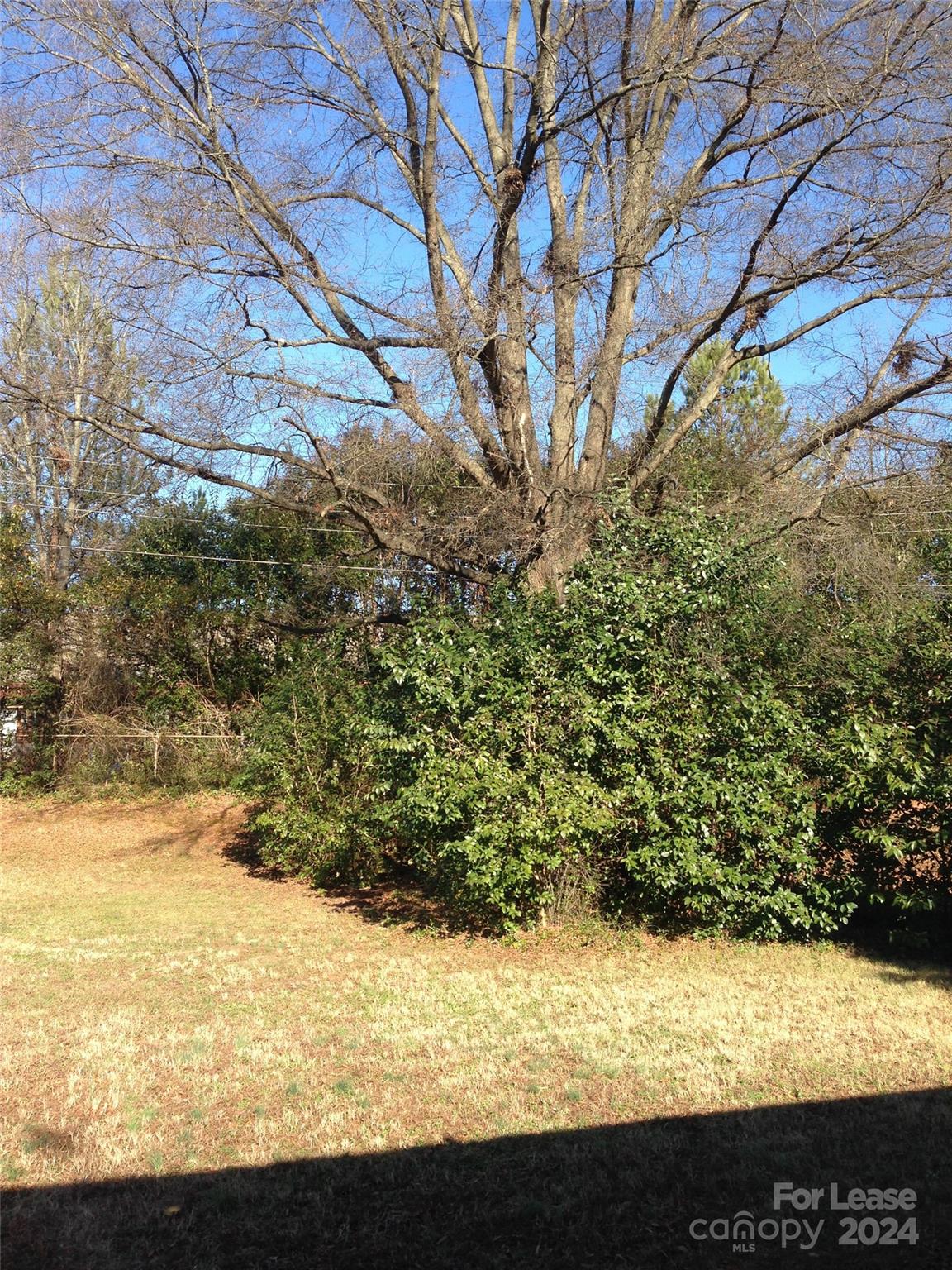 Madison Park - Residential Lease