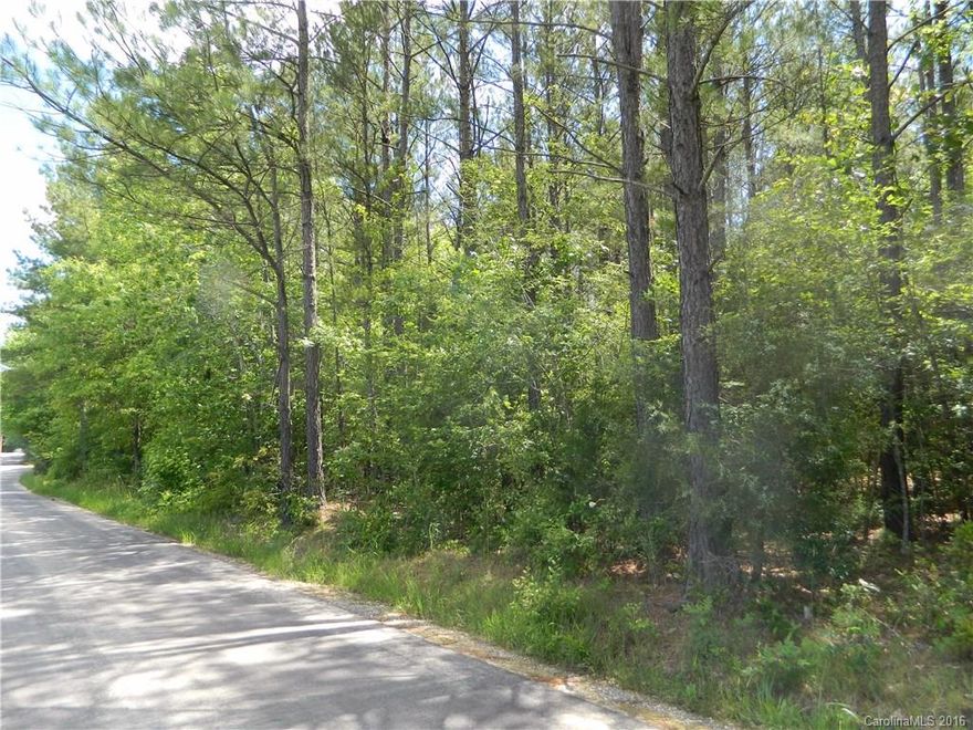 Beautiful wooded lot in Indian Land. Bring your own builder. No HOA! Must See! Buyer to have Perk Test. Buyer to purchase Water and Gas Taps from Lancaster County