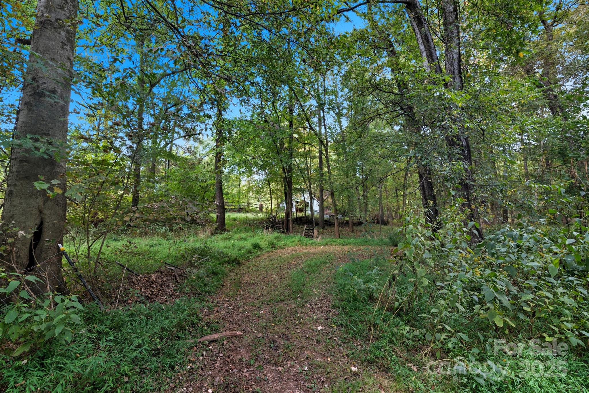5273 Lippard Lane