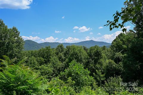 29 Grovepoint Way 9 Asheville NC 28804
