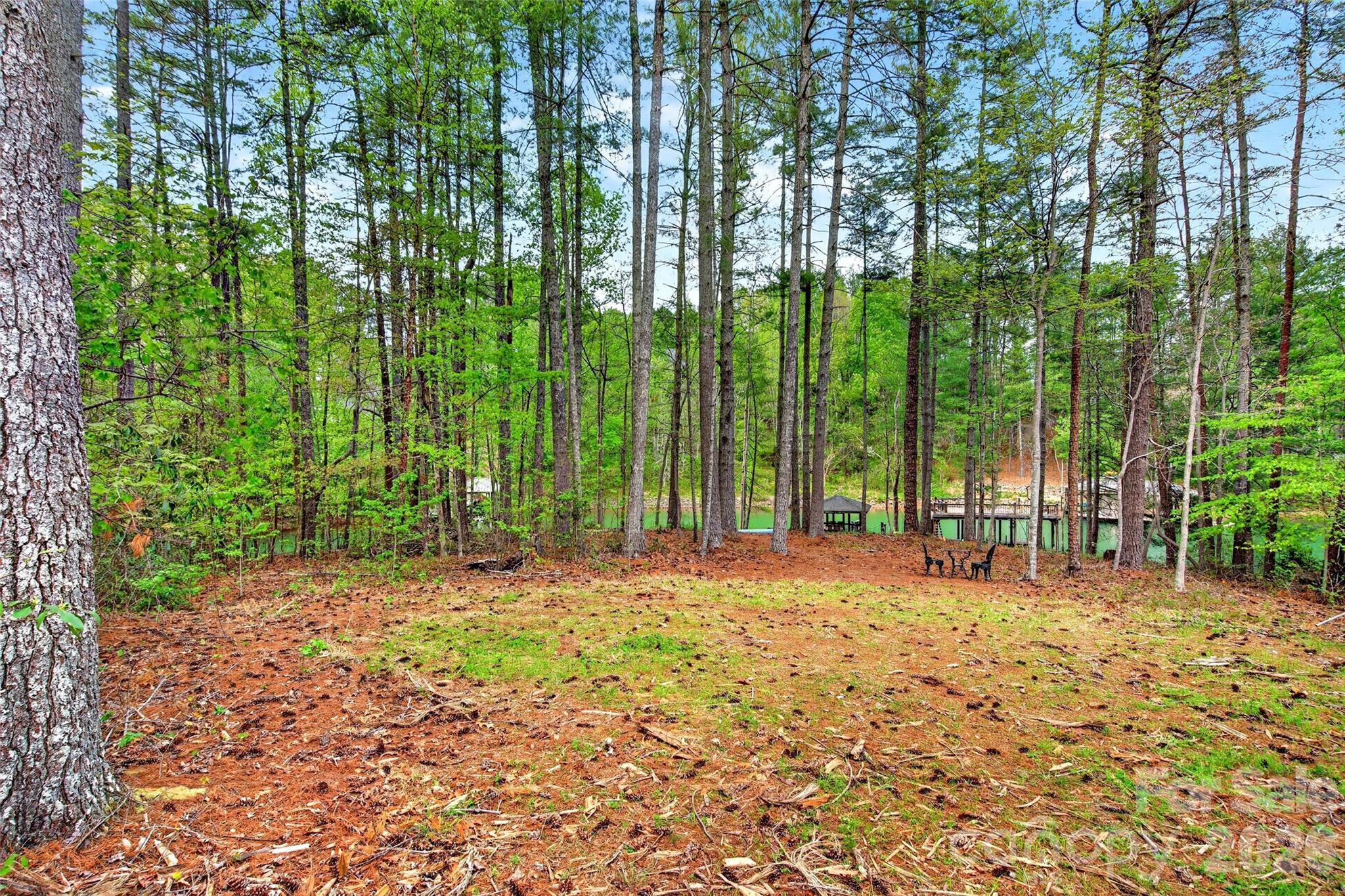 Mallard Pointe - Land