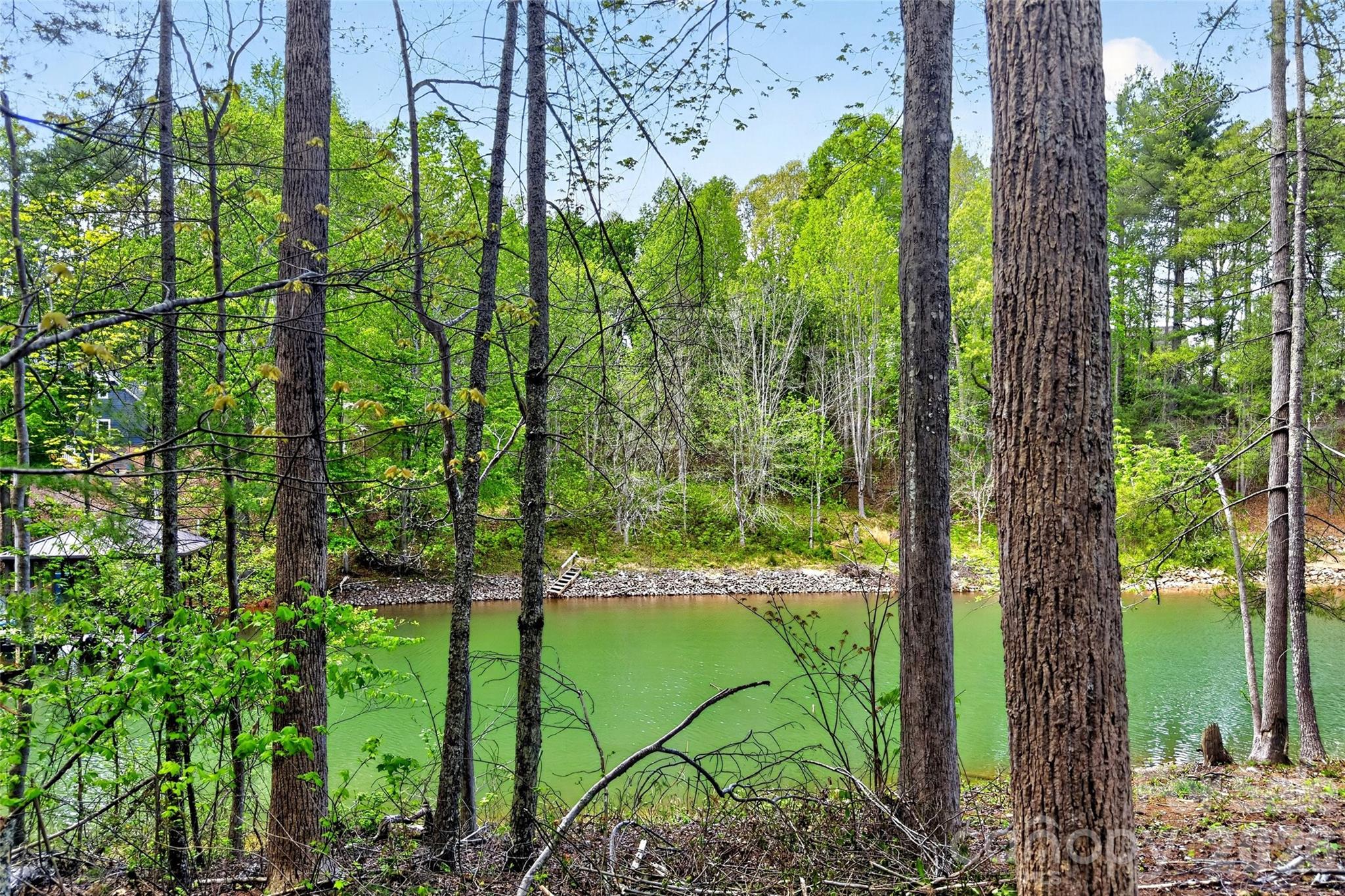 2361 Lake Forest Cove 13