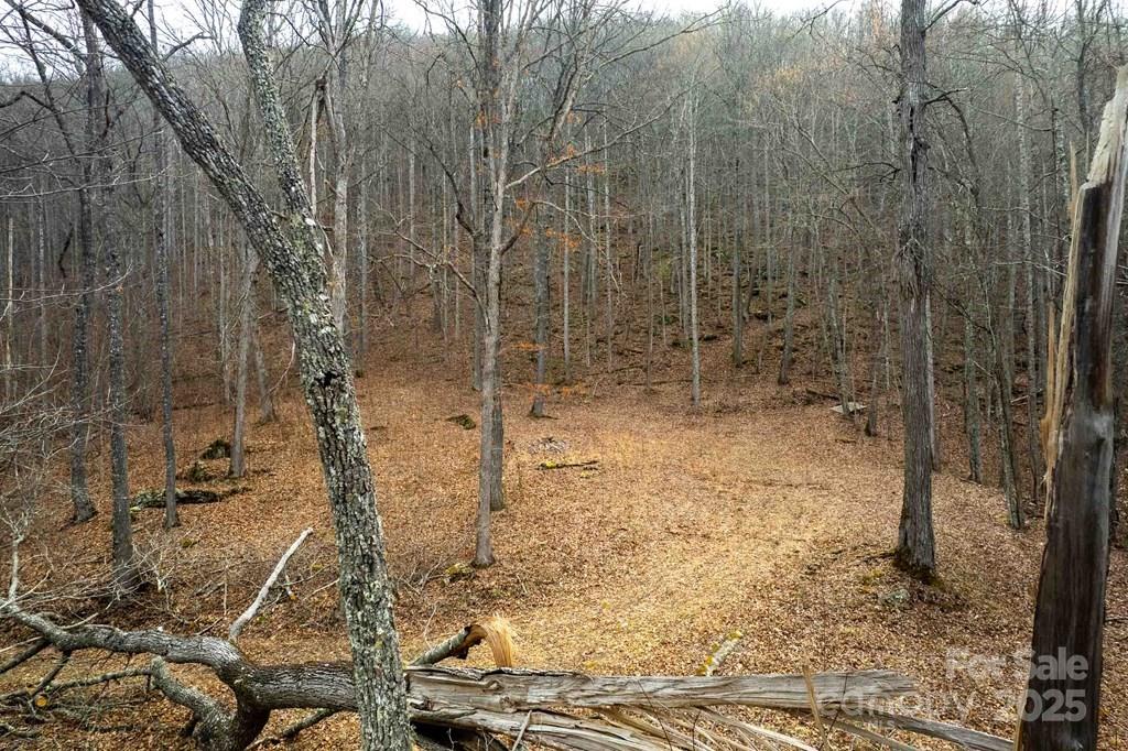 Lot 11 Stone Pillow Road 11