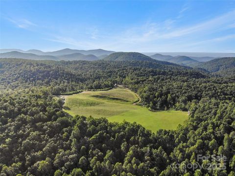 781 Payne Drive Zirconia NC 28790