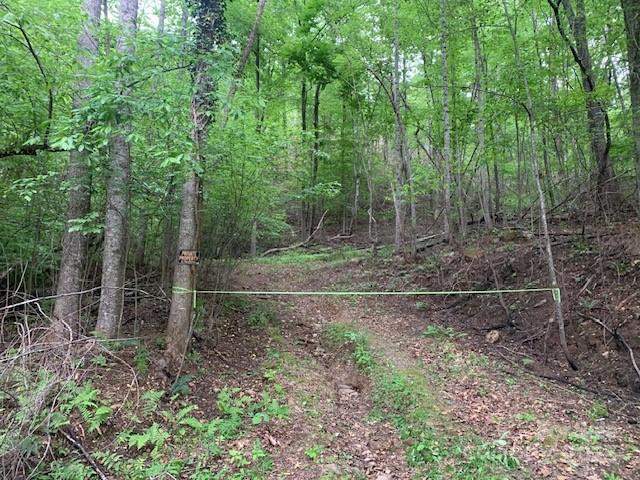 42.16 ACS GREEN RIVER COVE Road 42.162 AC.