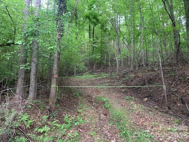 42.16 ACS GREEN RIVER COVE Road 42.162 AC.