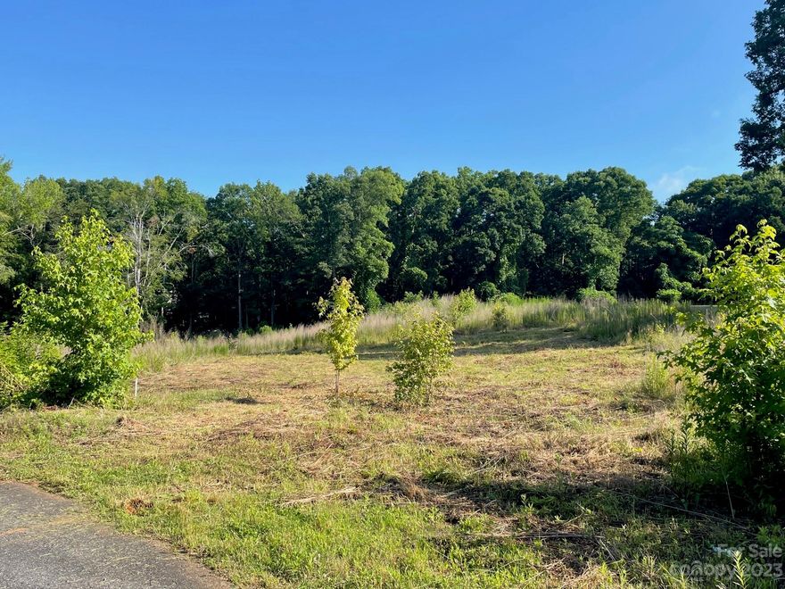 You will not want to miss this superb piece of land touching the edge of Lake Wylie. Discover the privacy of Lake Mist, a Lake Wylie Waterfront community of large estate lots. Nestled at the end of a cul-de-sac, this oversized parcel is comprised of two lots (512-514) with a total of 2.52 acres. The lot boasts a flat, cleared building area, beautiful wooded areas, a stream and a waterfront area with pretty views and canoe access. Close to historic Belmont, Lake Wylie, CLT Airport and 20 min. to Charlotte.