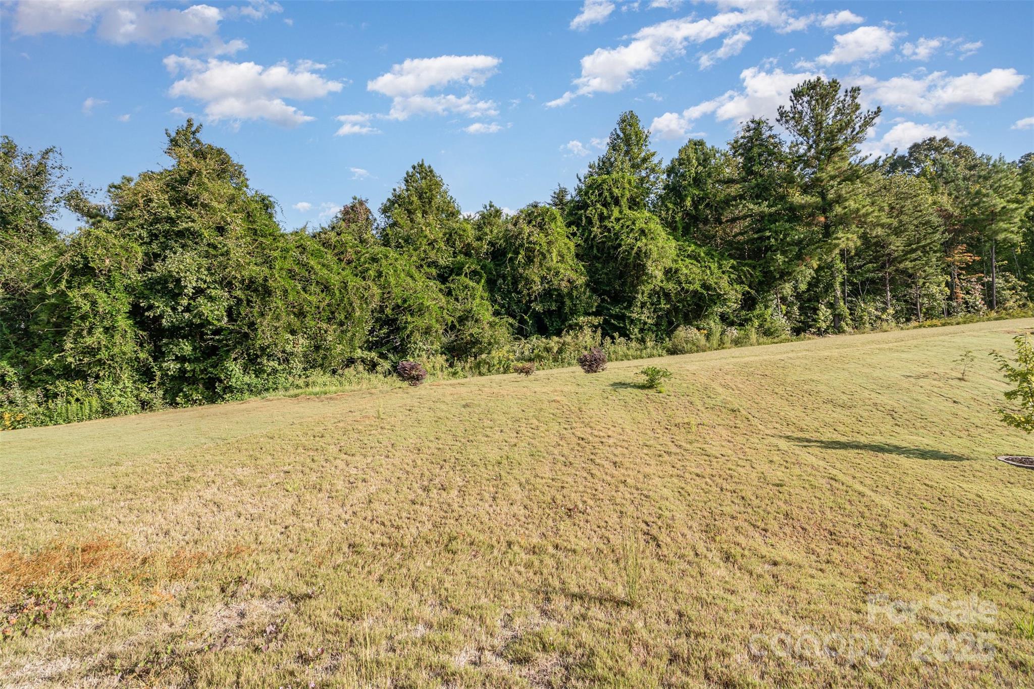 Arbordale - Residential