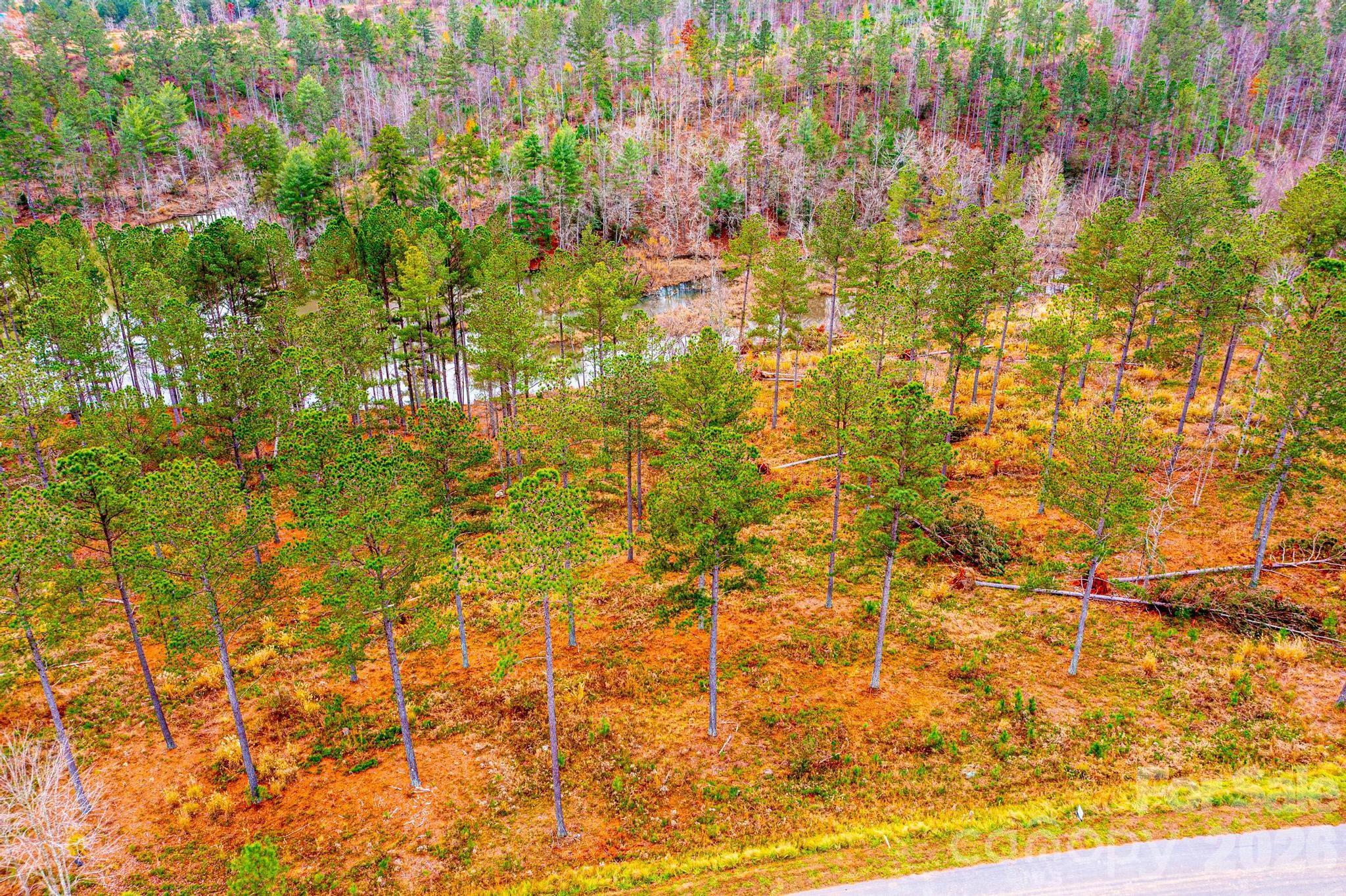 Lakeside Reserve - Land