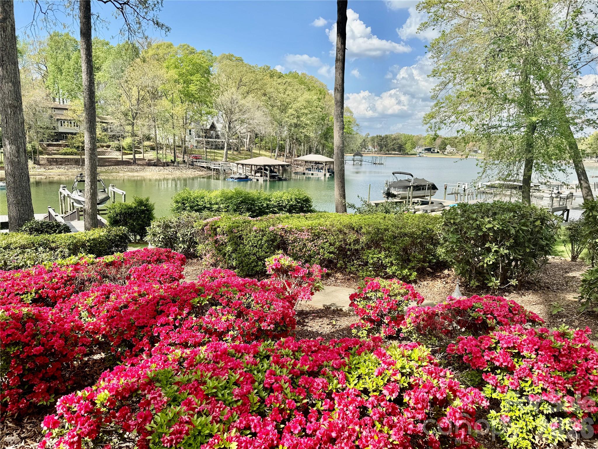 Patricks Purchase - Residential