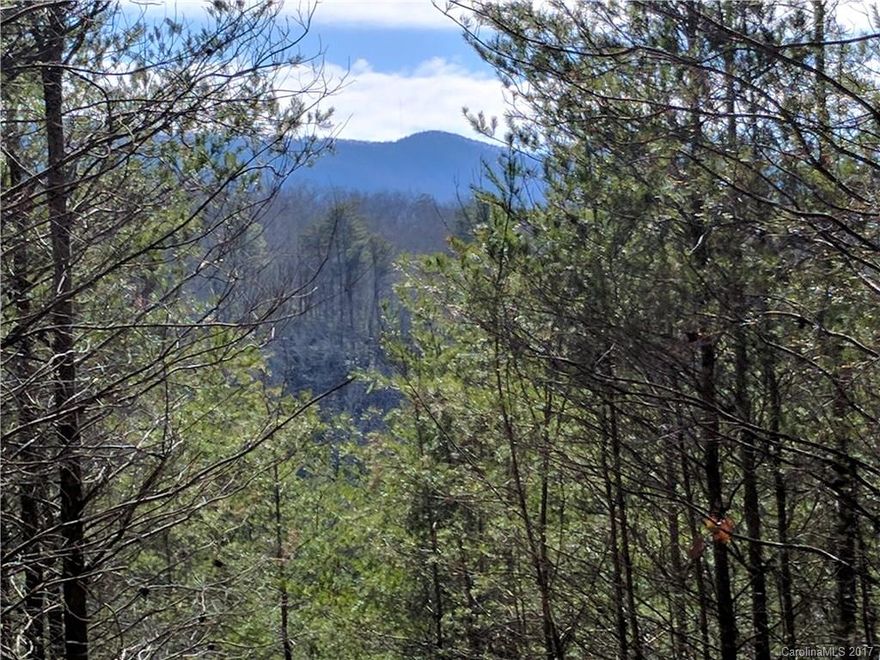 Beautiful lake front lot in Lake Adger Park North. This lot is located at the end of a private cul-de-sac with over 330 ft of lake frontage Deeded boat dock rights to navigate water. Located on a rare peninsula for privacy and views of the entire lake.