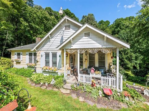 4828 Max Patch Road Clyde NC 28721