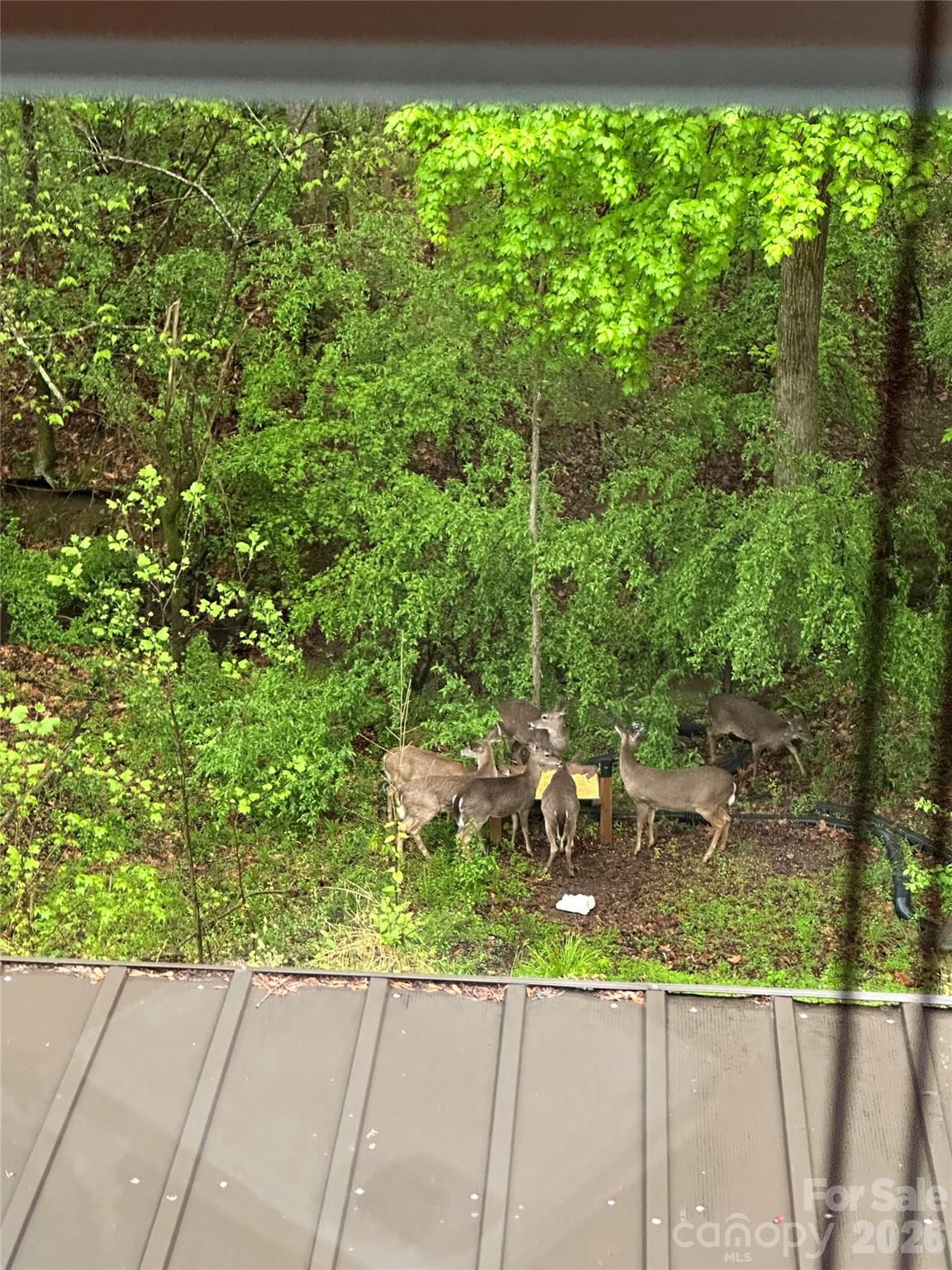 English Trails - Residential