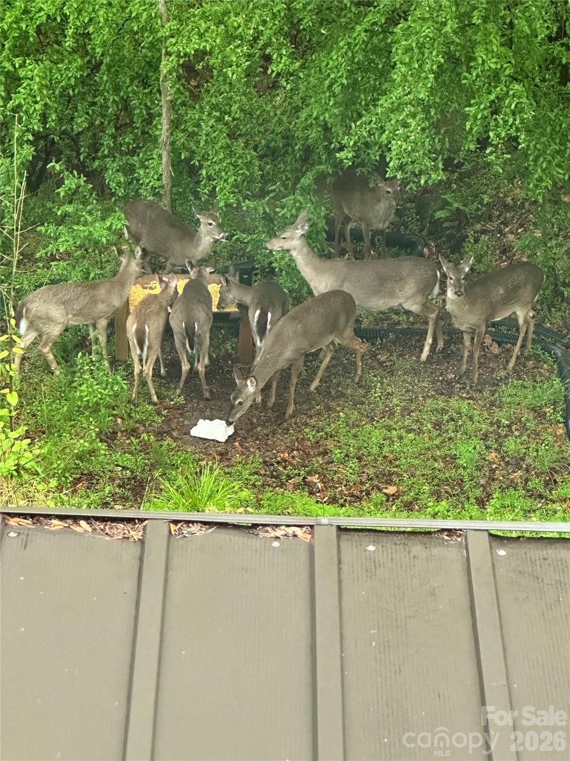 English Trails - Residential