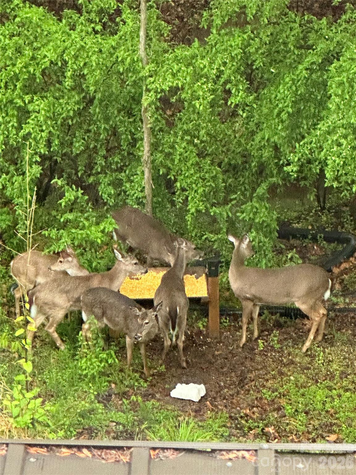 English Trails - Residential