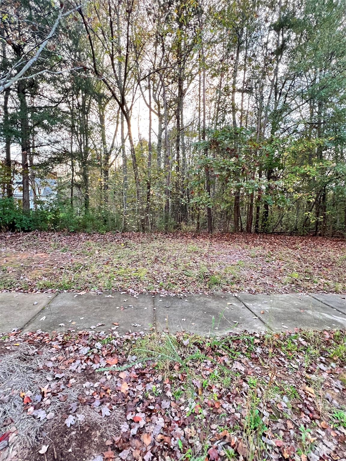 The Preserve at Forest Creek - Land