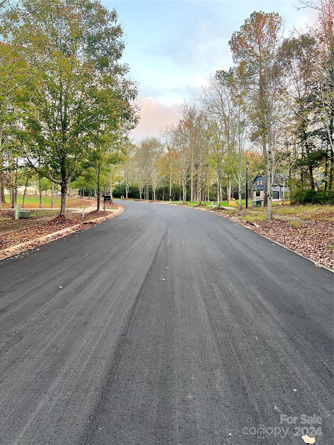 The Preserve at Forest Creek - Land