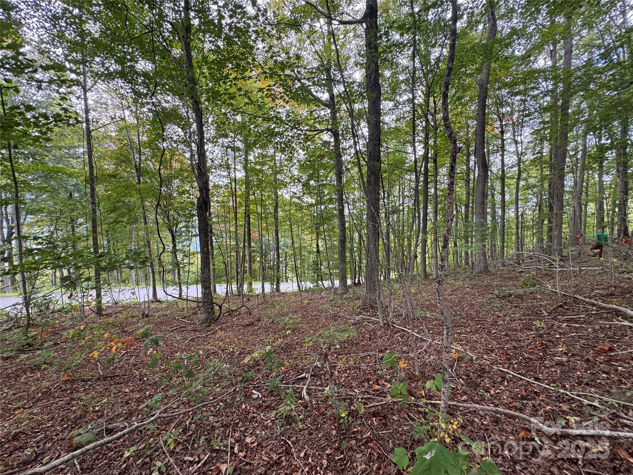 TBD Bear Paw Road 15