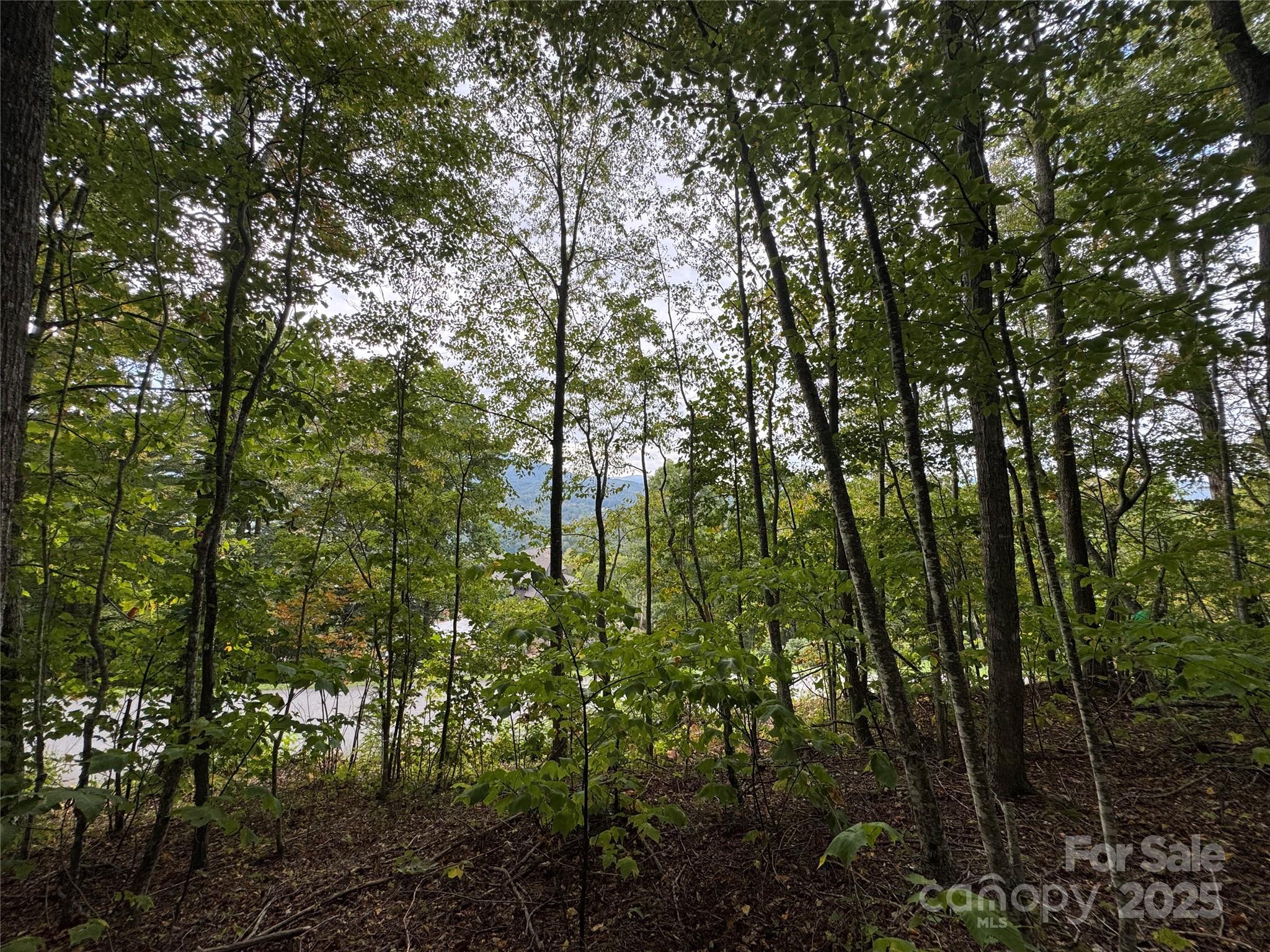 TBD Bear Paw Road 15