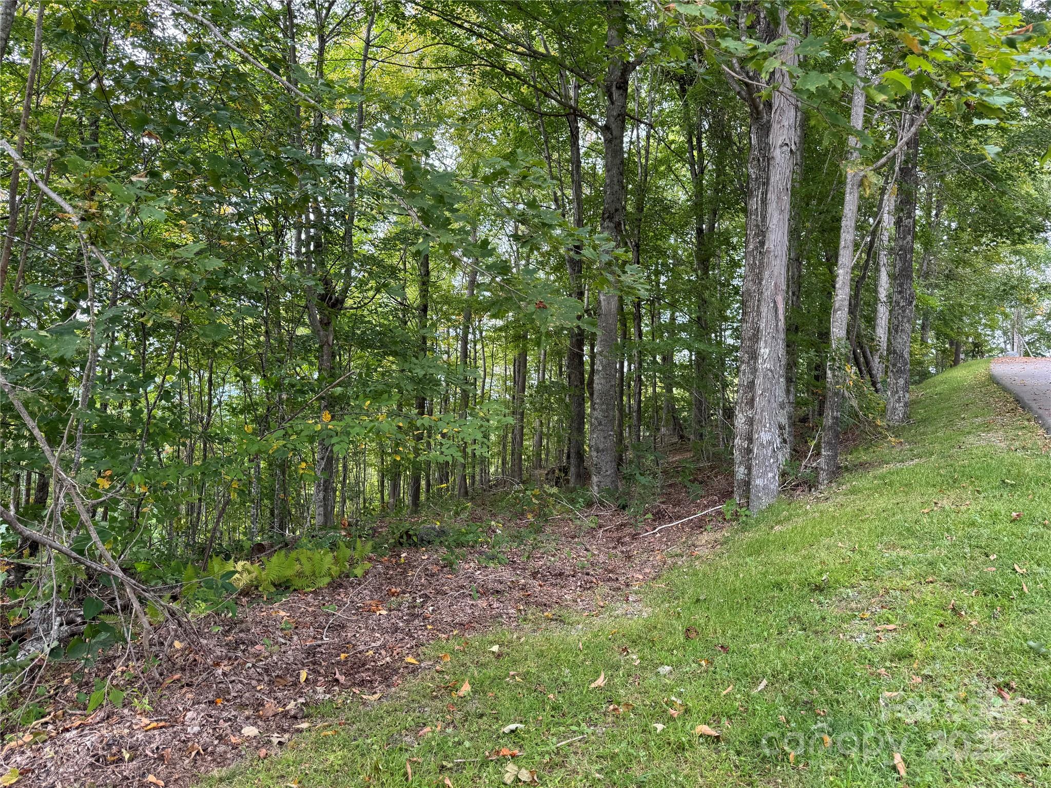 TBD Bear Paw Road 15