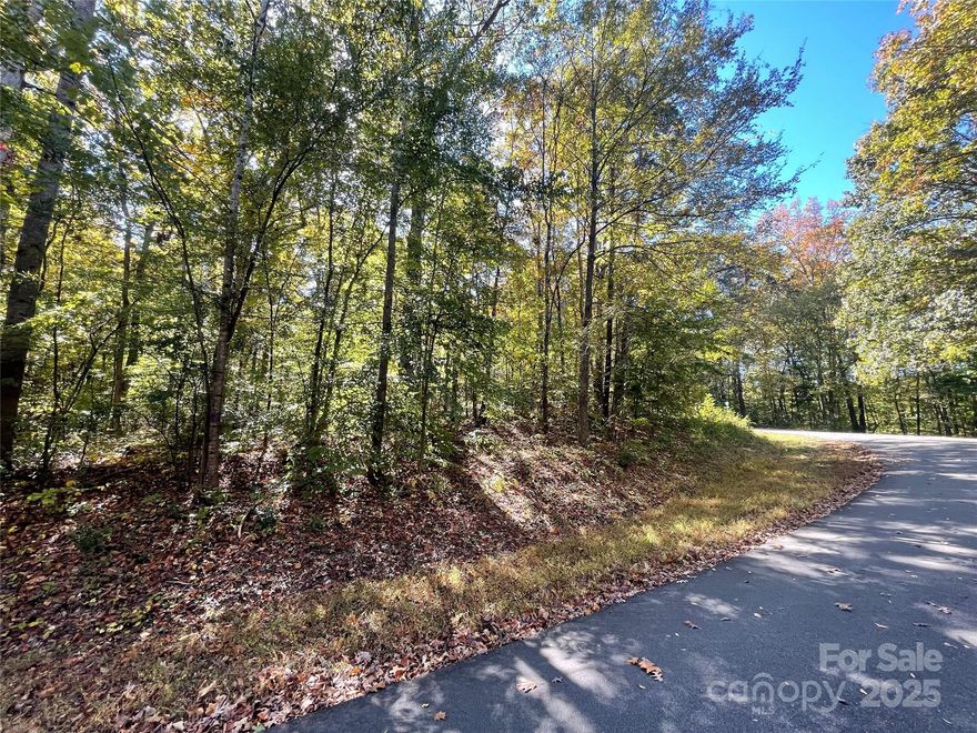 Investors, come and build your home on this corner lot. Lot is suitable for crawlspace or basement. Lot is not suitable for conventional septic system has been tested by soil evaluations. No municipal water or sewer in the neighborhood. There are other parcels for sale right across this lot.