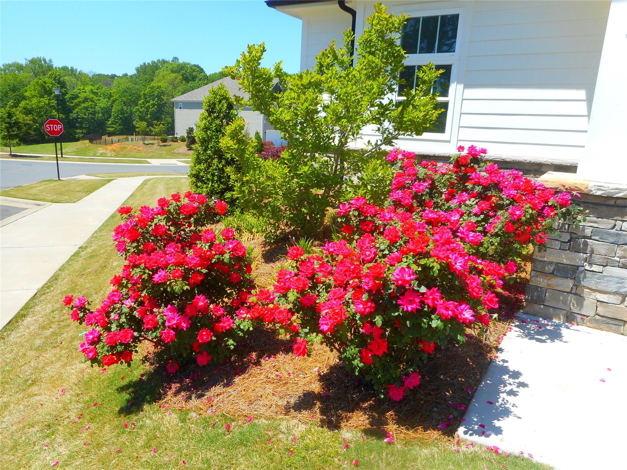 Kellerton Place - Residential Lease