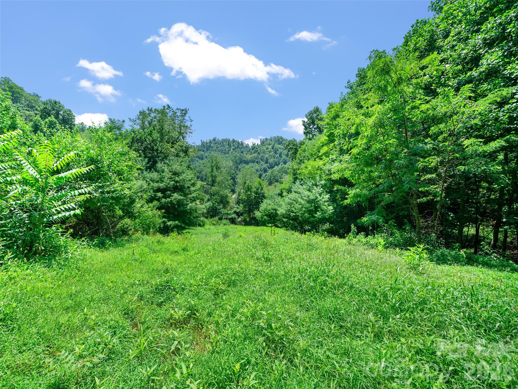 1377 Langford Branch Road