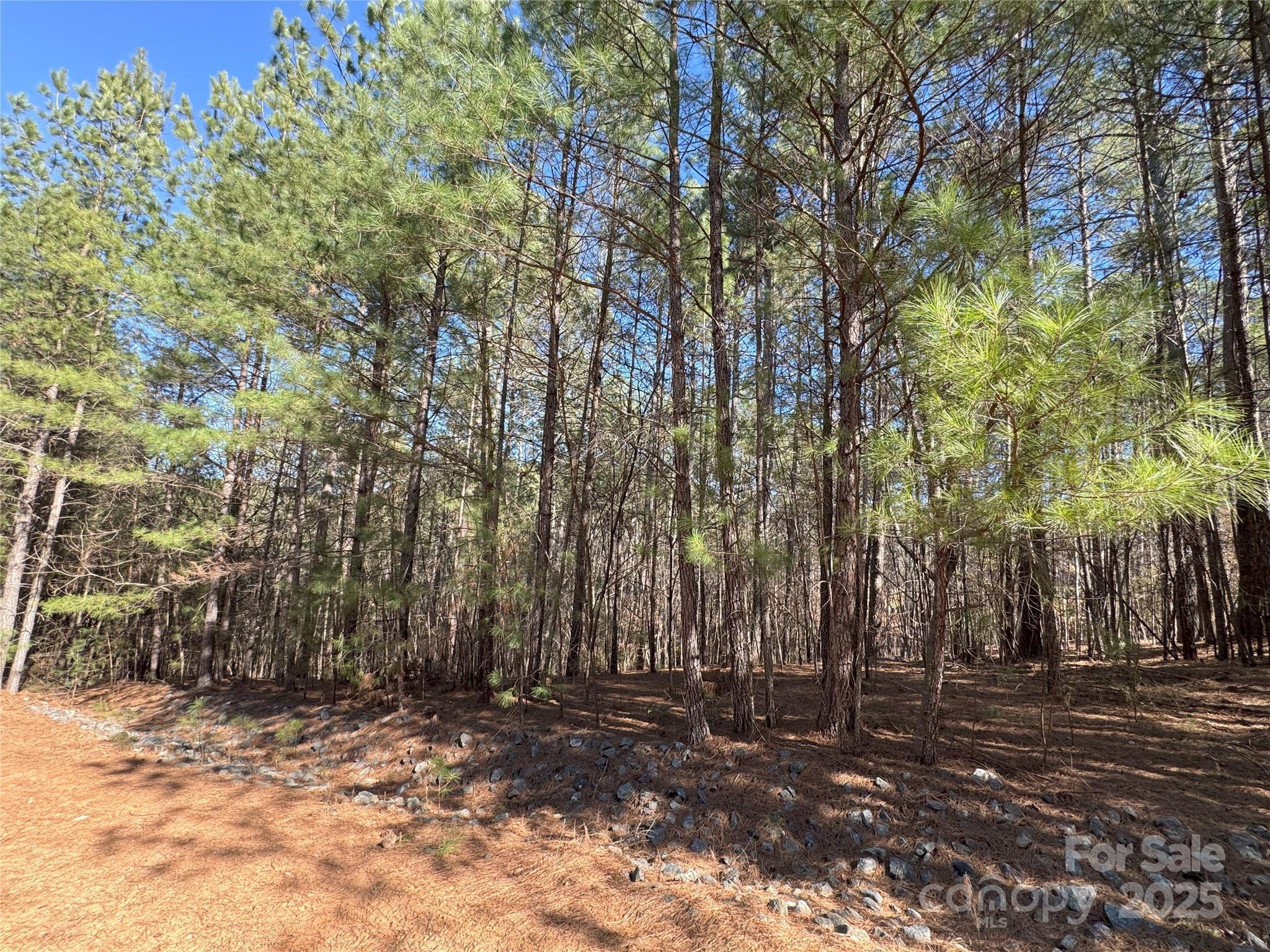 Anchors Landing - Land