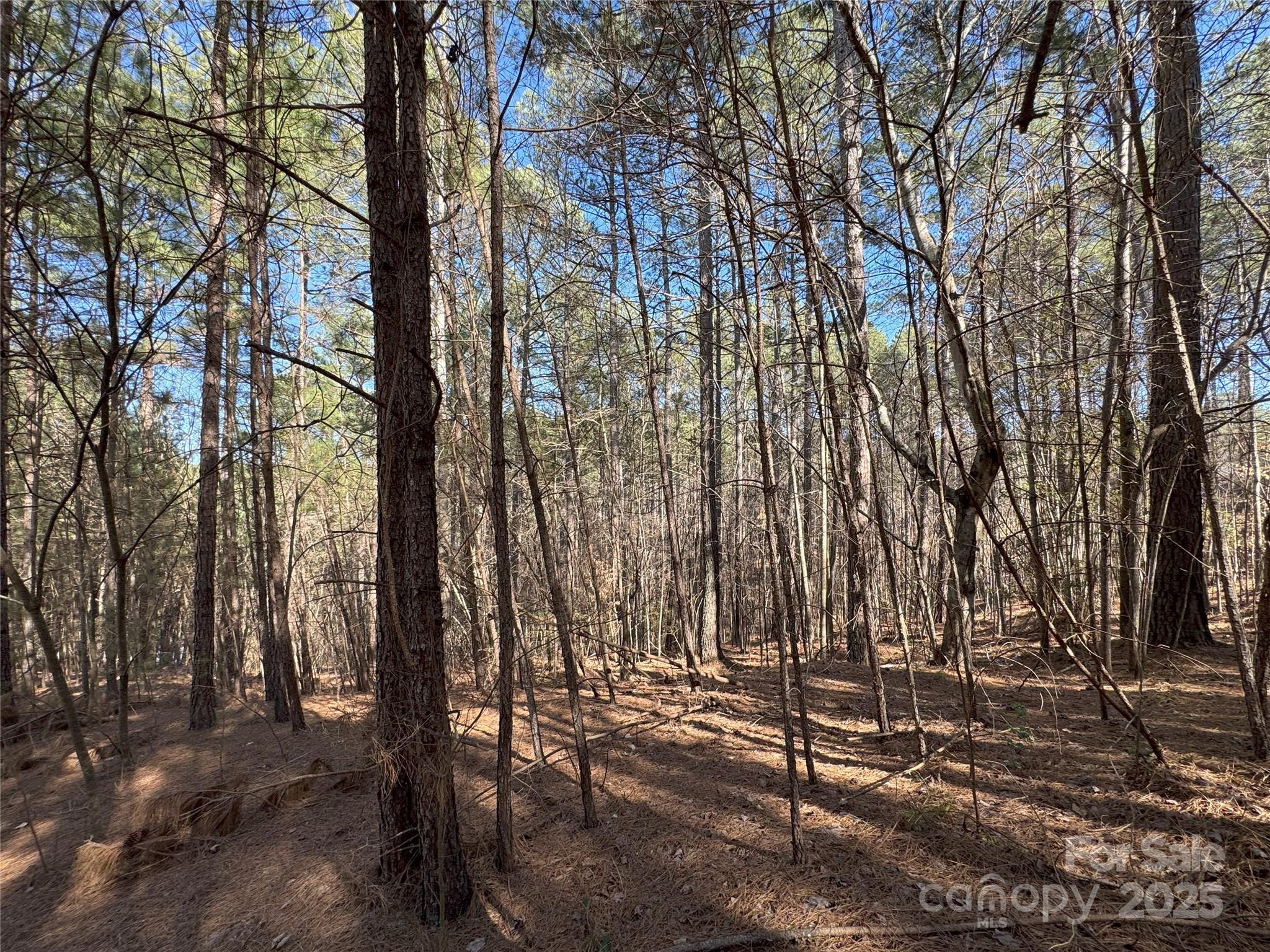 5582 Bridgewater Drive