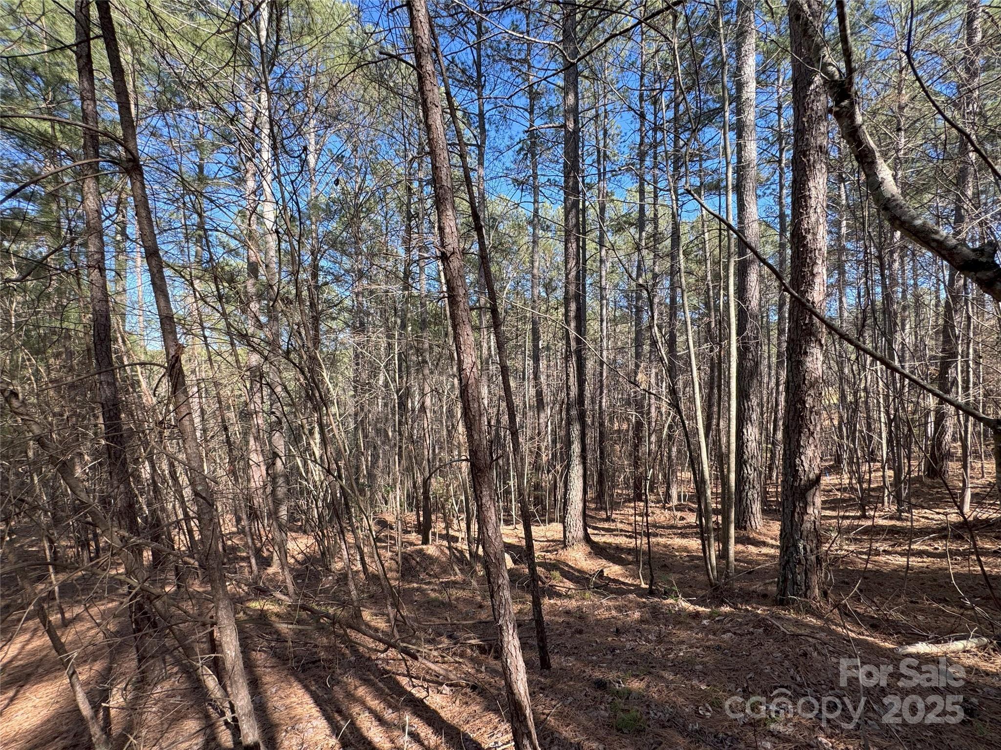 5582 Bridgewater Drive