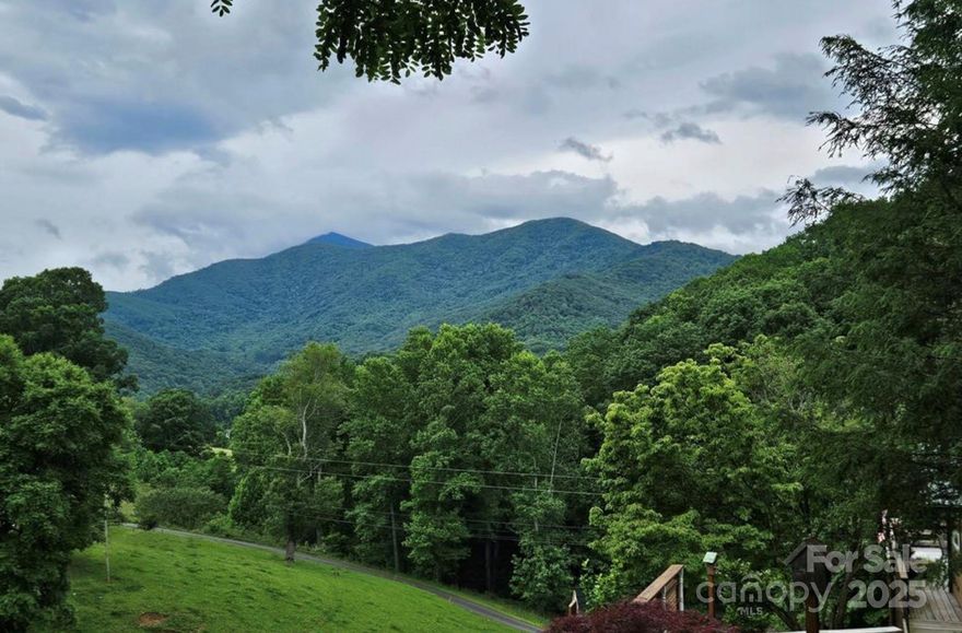 Beautiful .64 acre lot just off Three Quarter Creek in Burnsville! Hidden location is perfect for a building your dream mountain home. Hit the right angle and you will have a huge mountain view! Lot is overgrown and will need a lot of prep work to get ready for building. Lot has a few flat spots that gently roll into a steep slope. Deeded easement to Mountain View Estates Road. No restrictions found. No septic permit. Call for details!