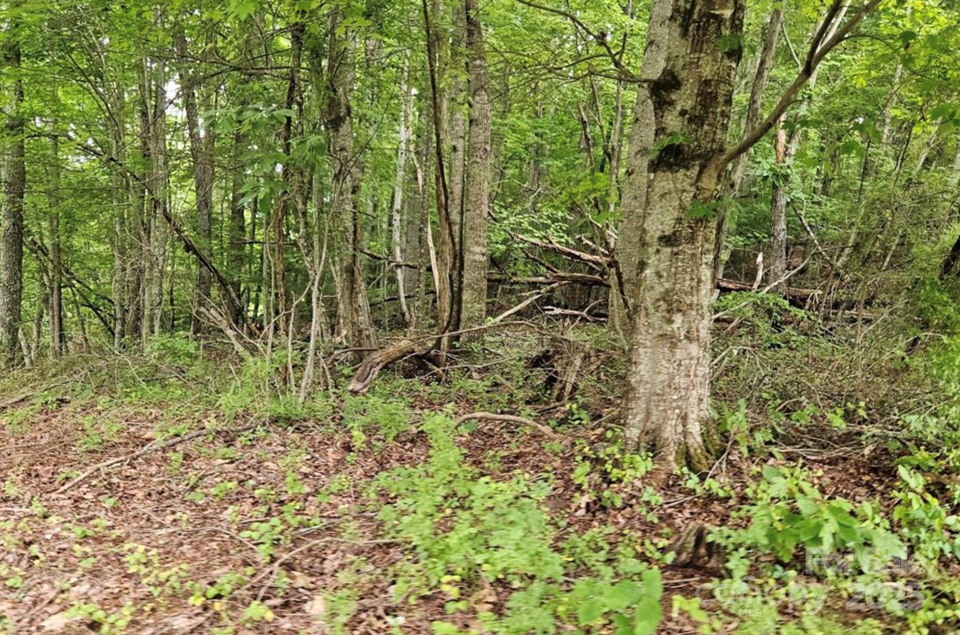 Mountain View - Land