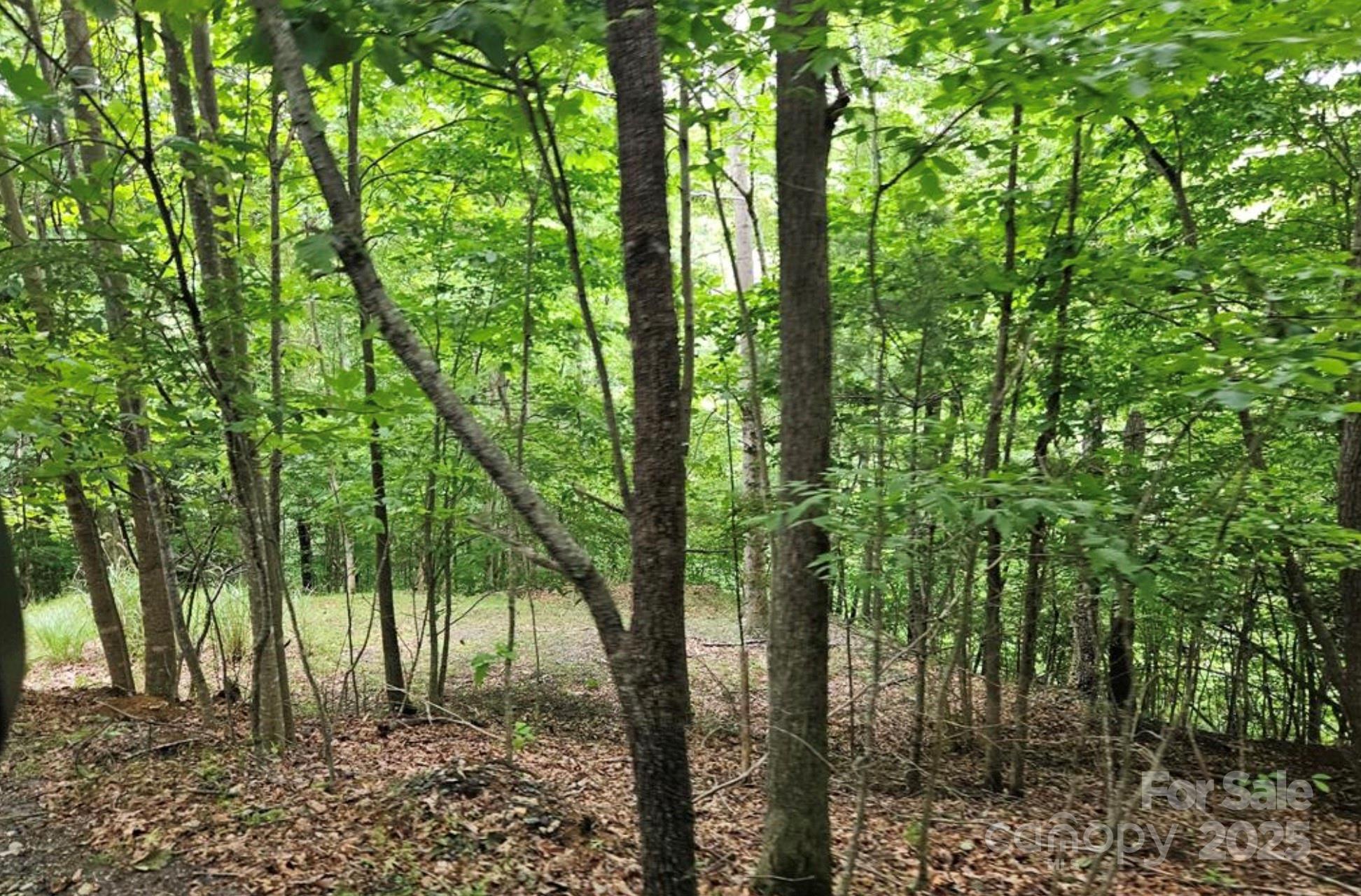 Lot 3 Mountain View Road