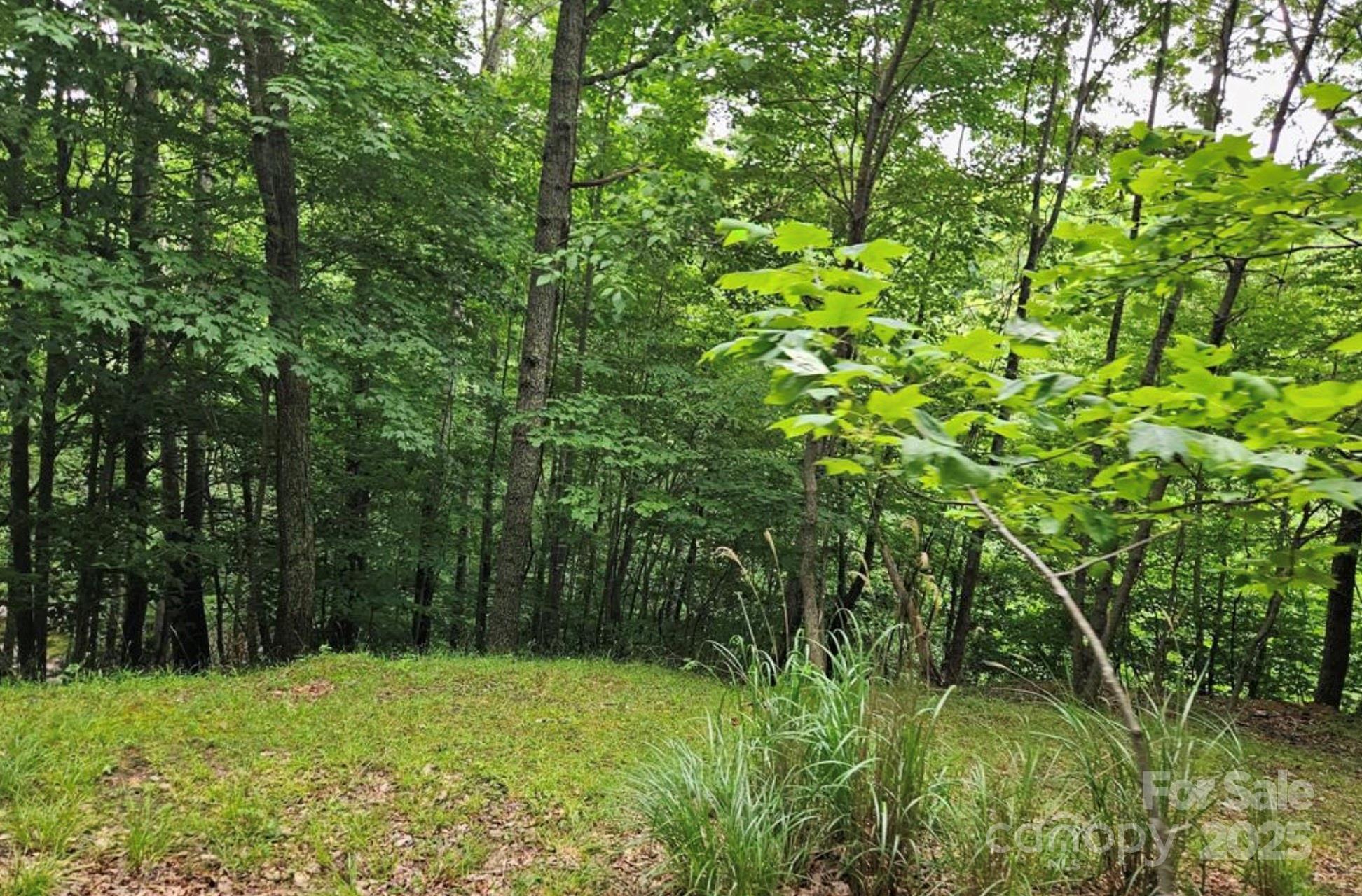 Mountain View - Land