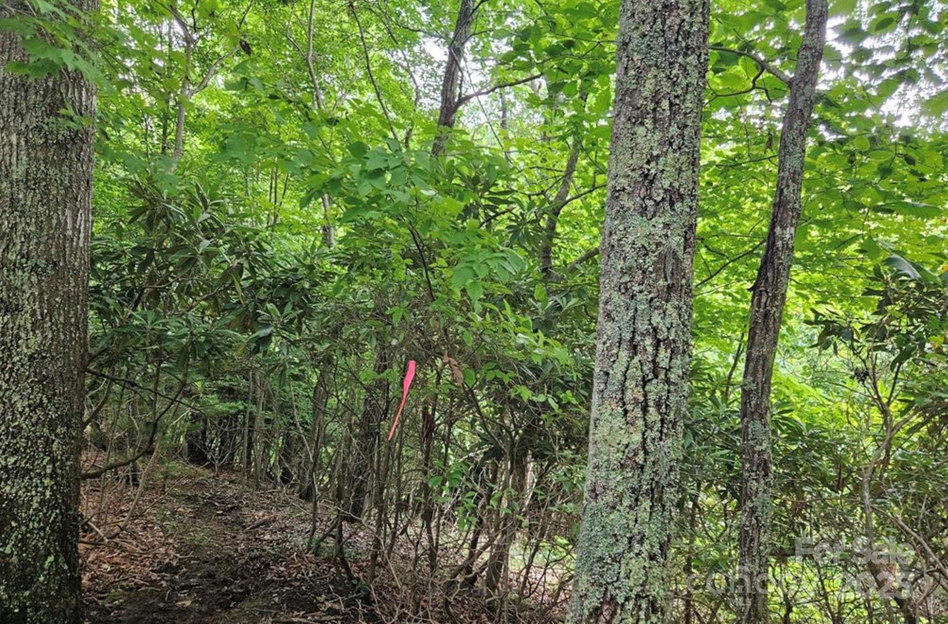 Lot 3 Mountain View Road