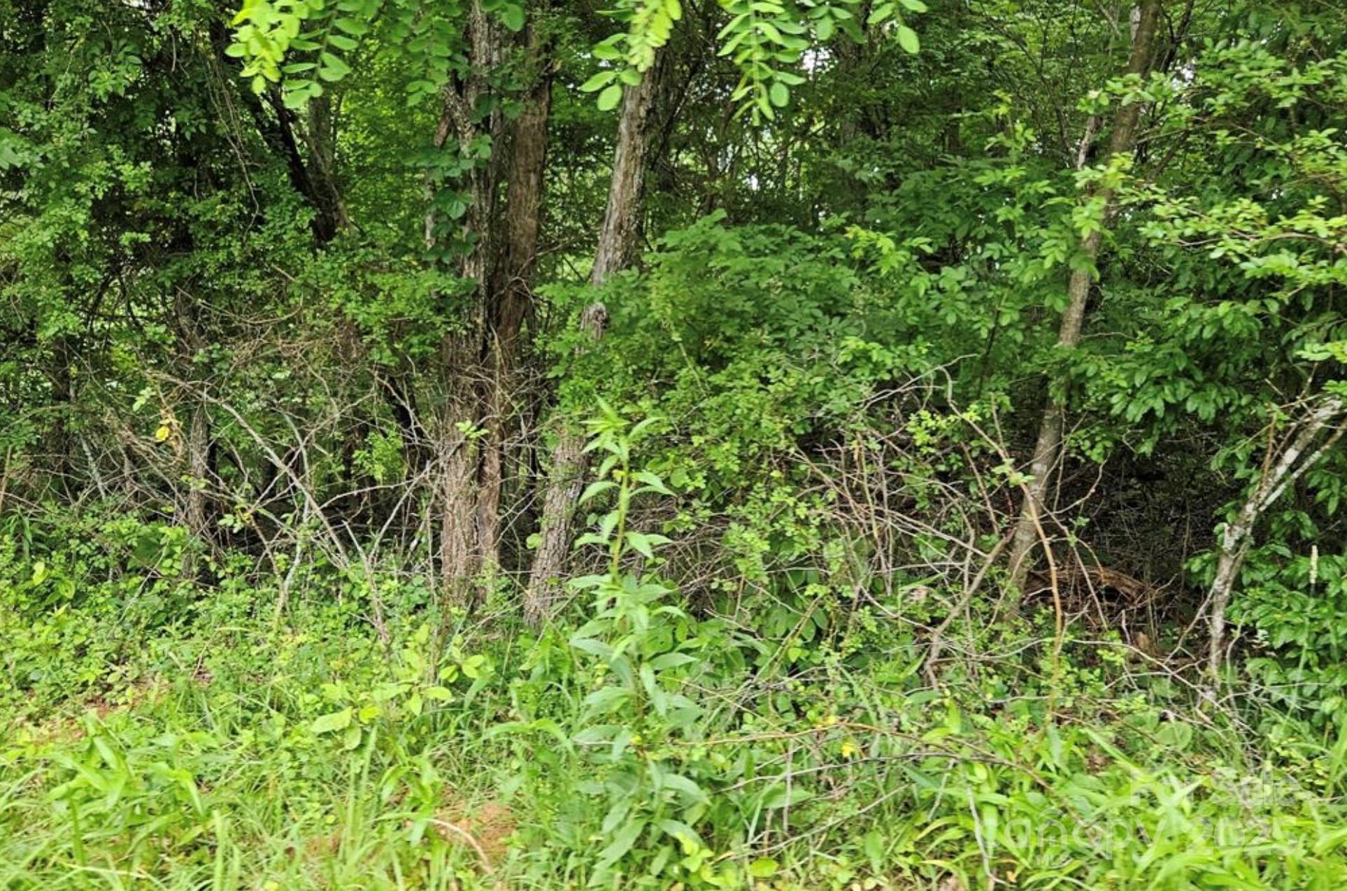 Mountain View - Land