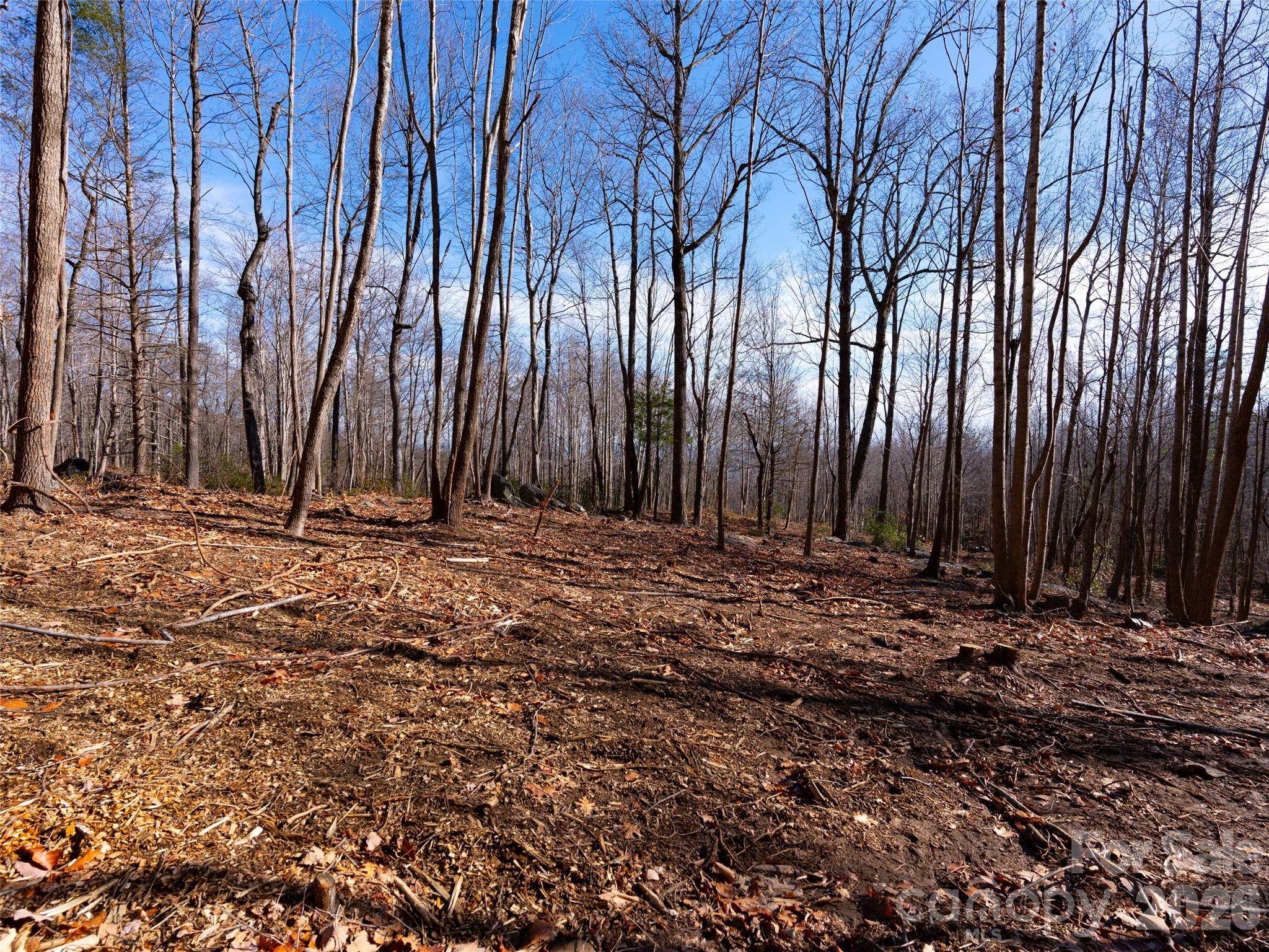 Brights Creek - Land