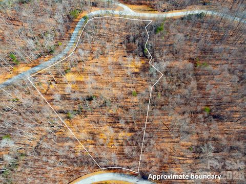 220 Chesterfield Drive Mill Spring NC 28756