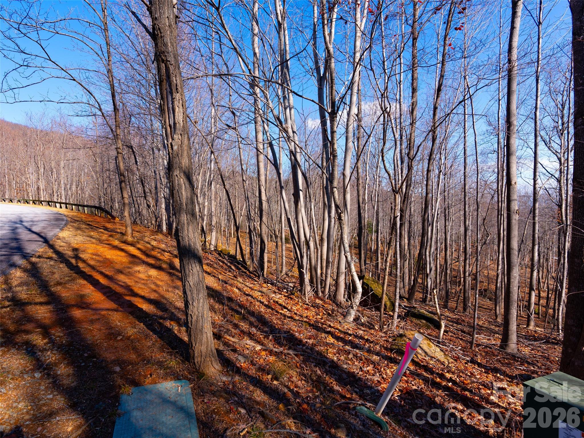 Brights Creek - Land