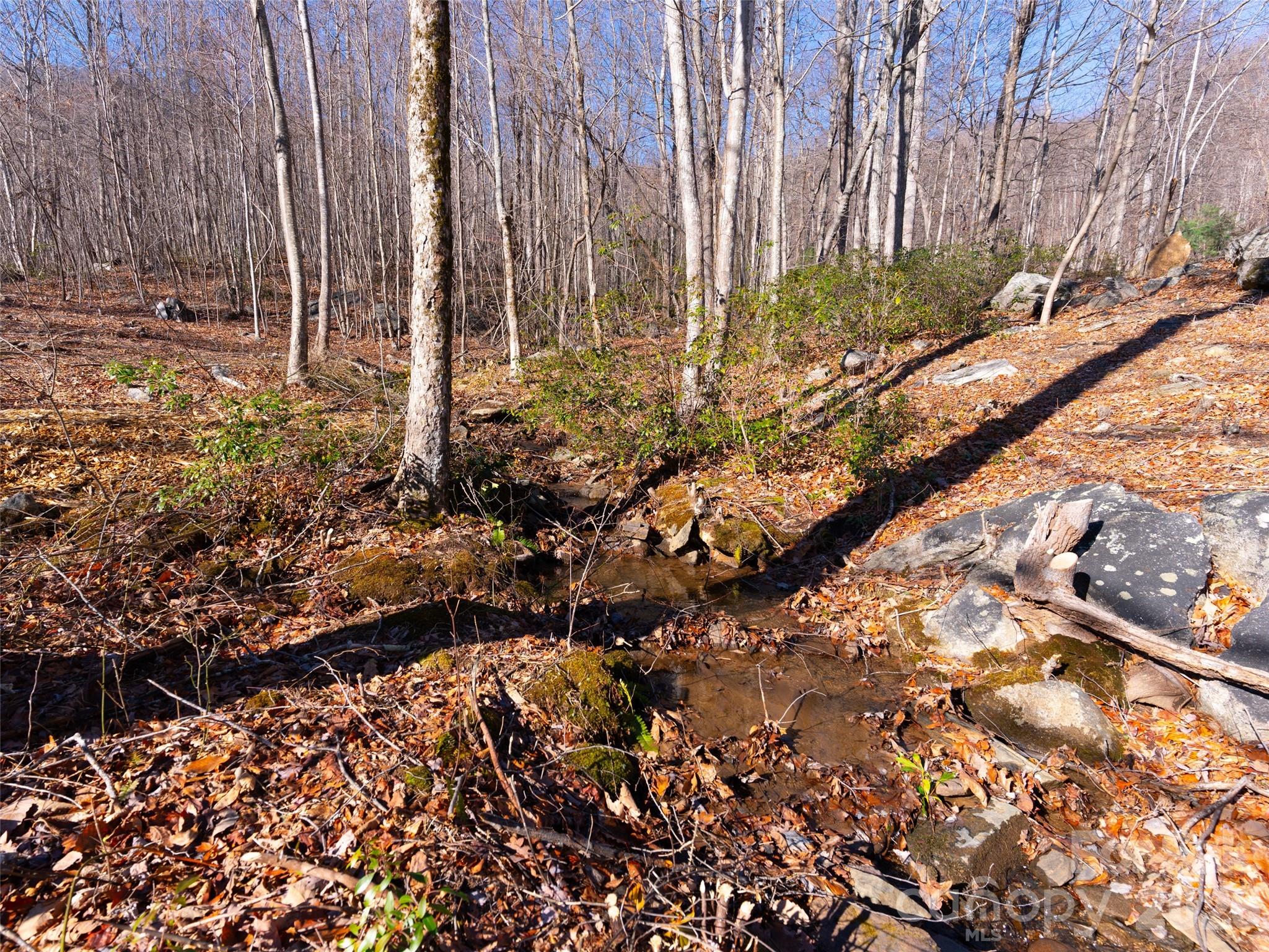 Brights Creek - Land