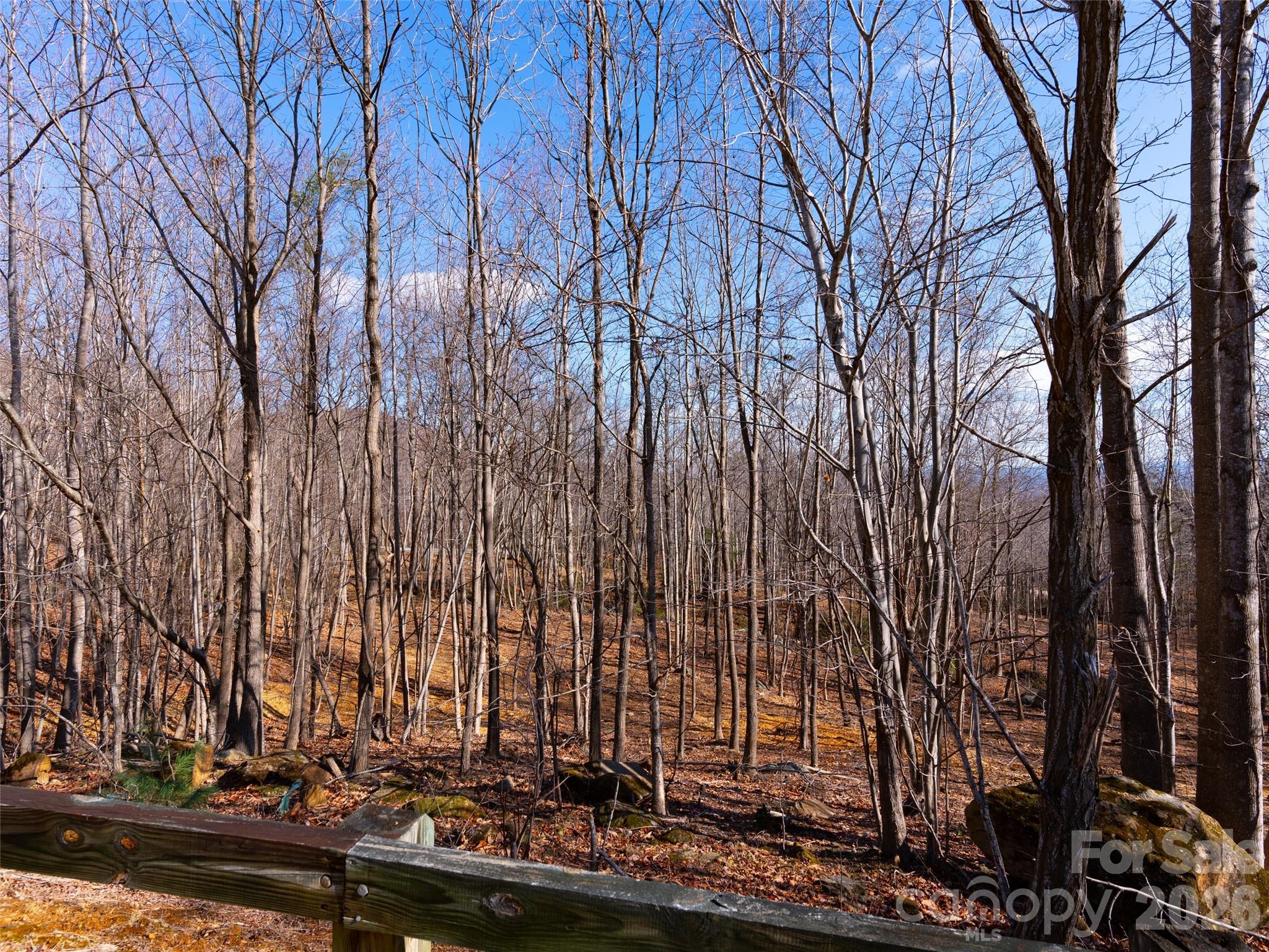 Brights Creek - Land