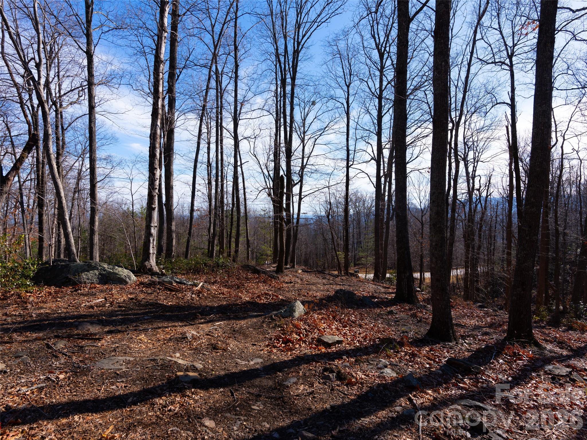 Brights Creek - Land