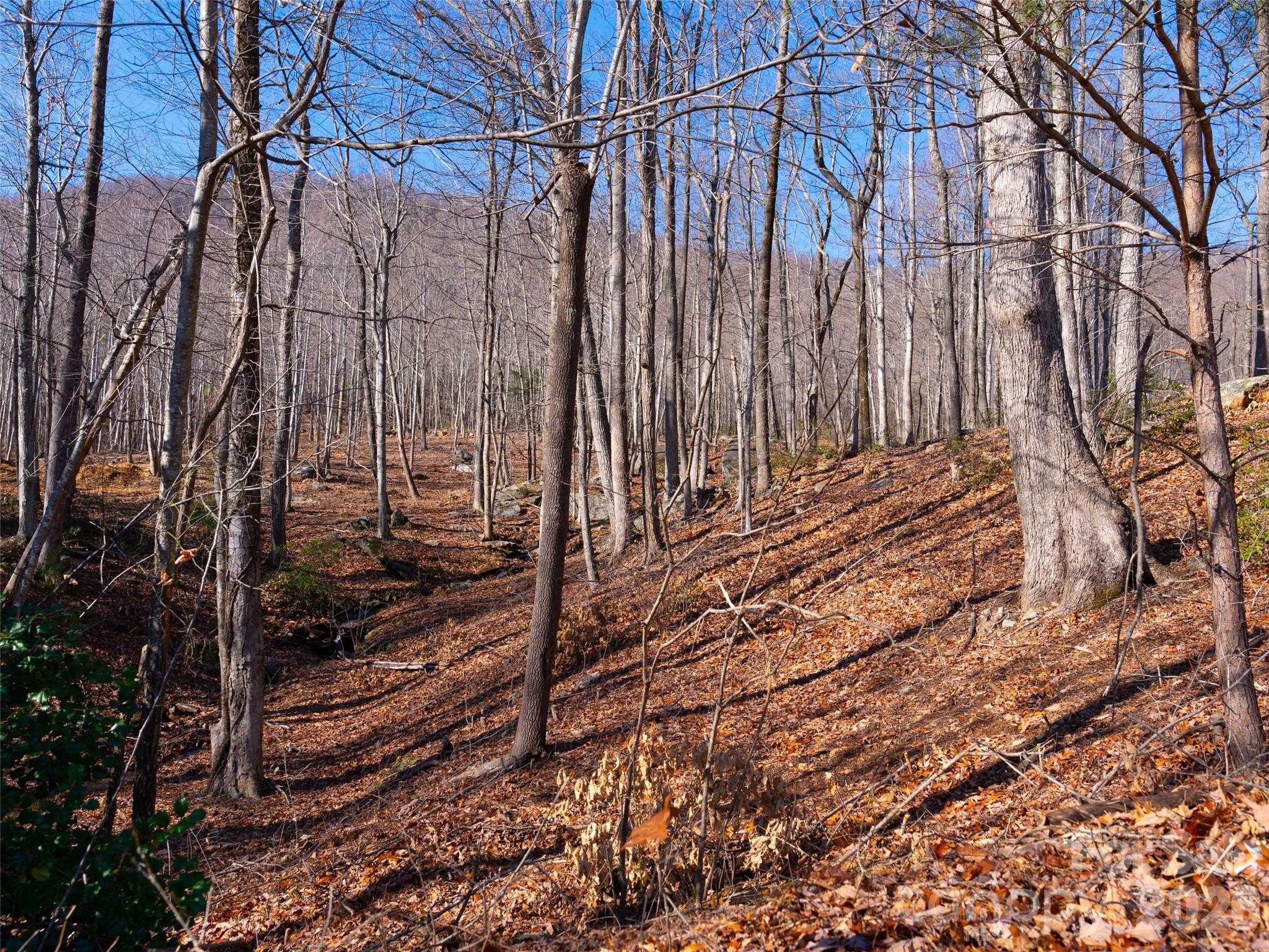 Brights Creek - Land