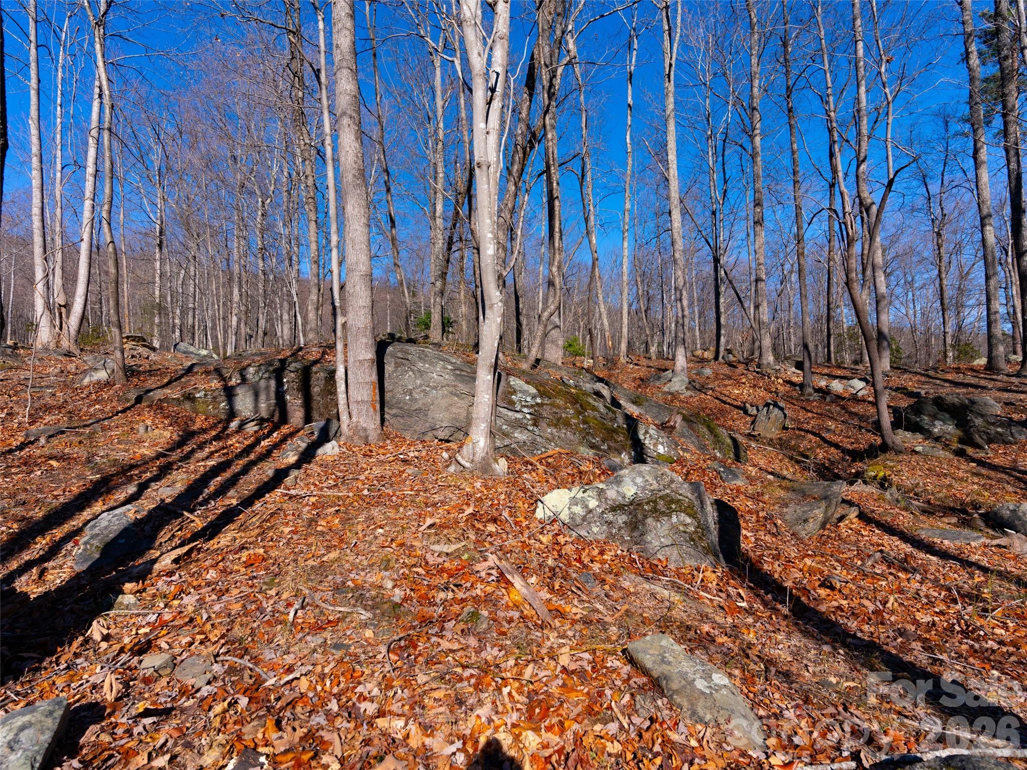 Brights Creek - Land