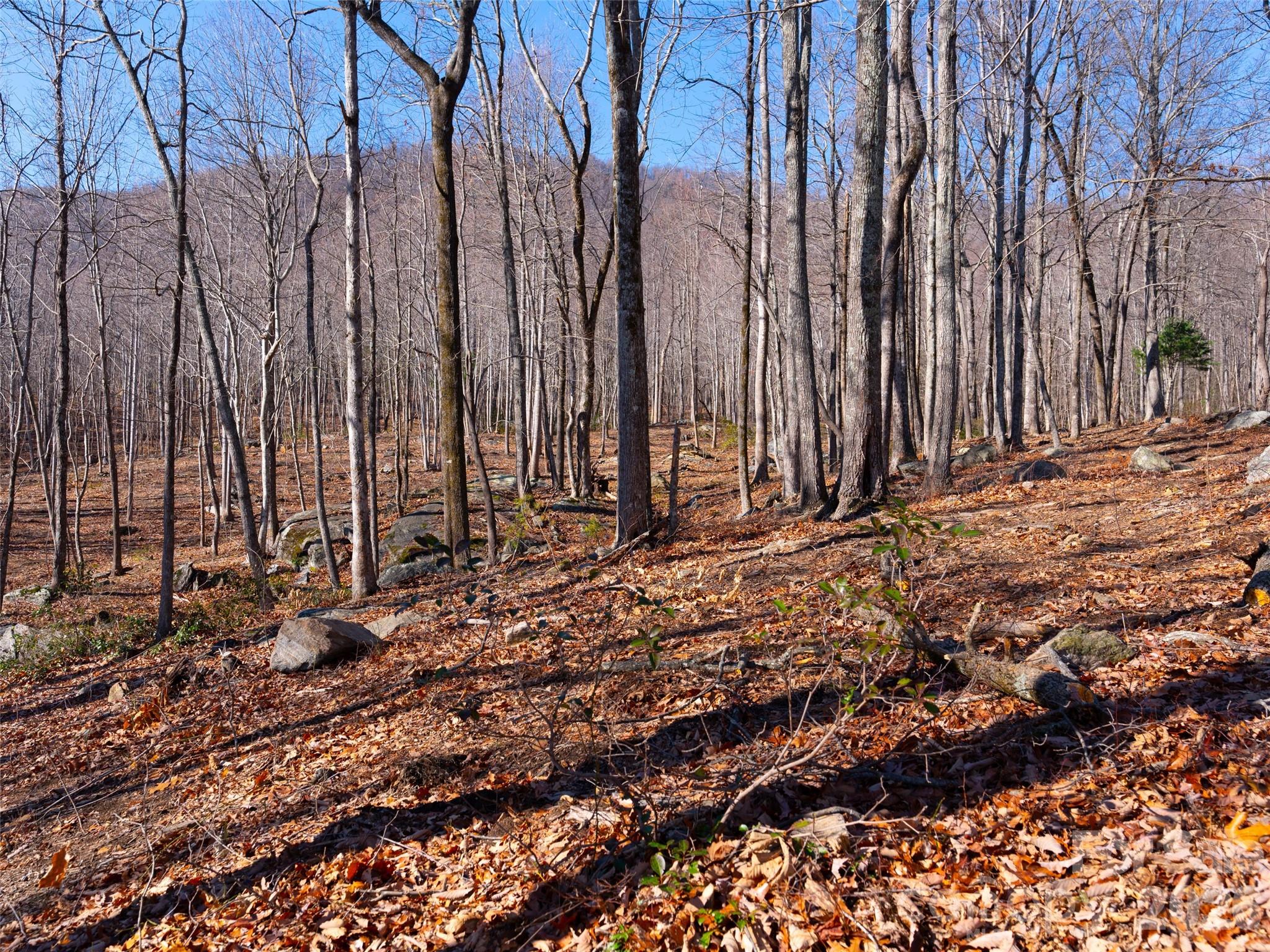 Brights Creek - Land