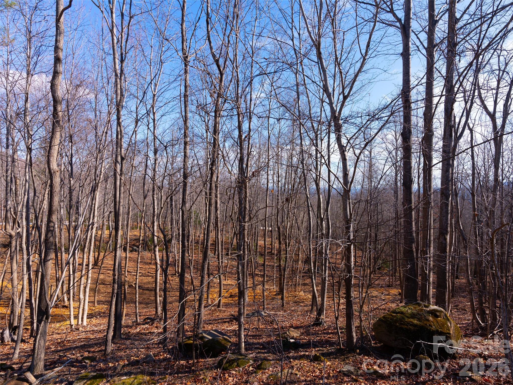 Brights Creek - Land