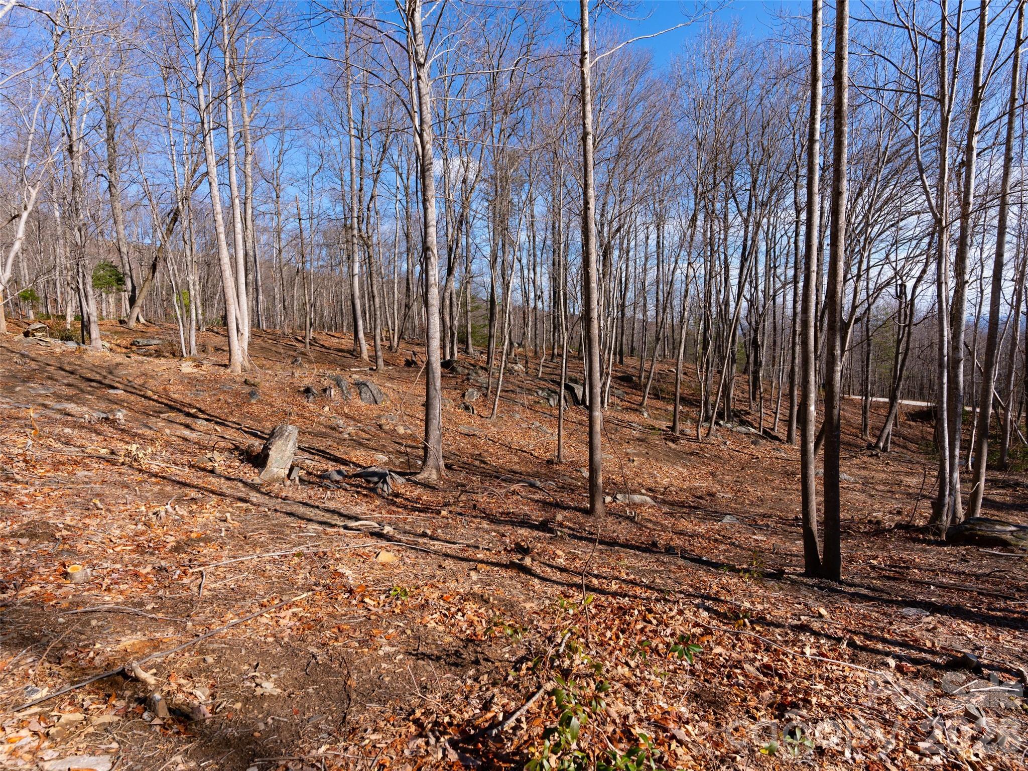 Brights Creek - Land