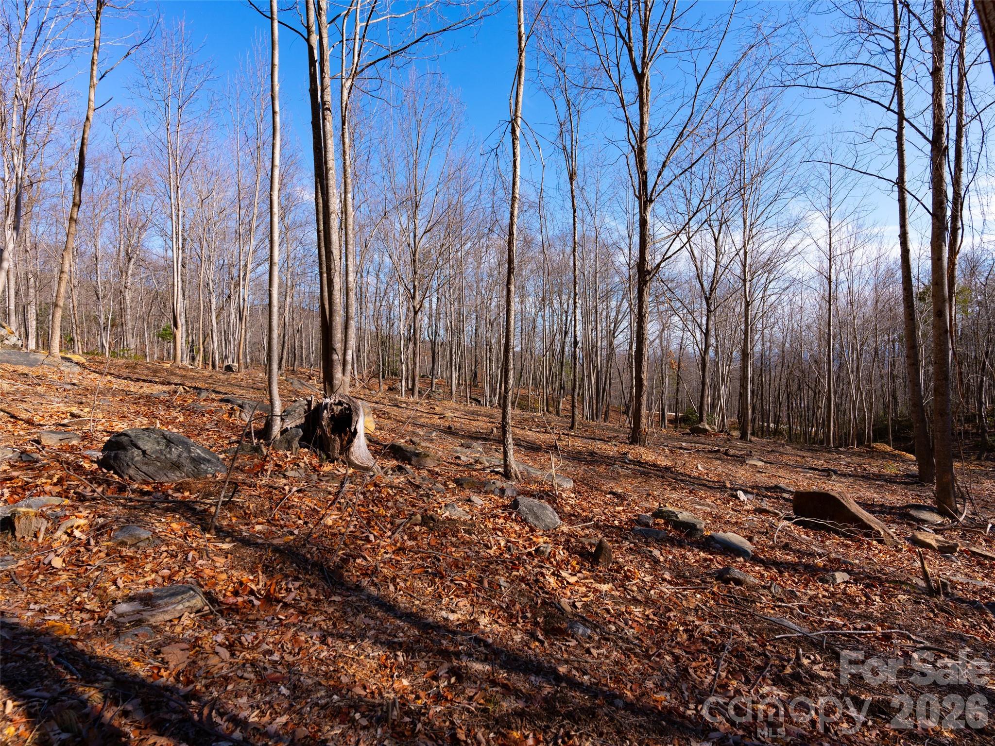 Brights Creek - Land