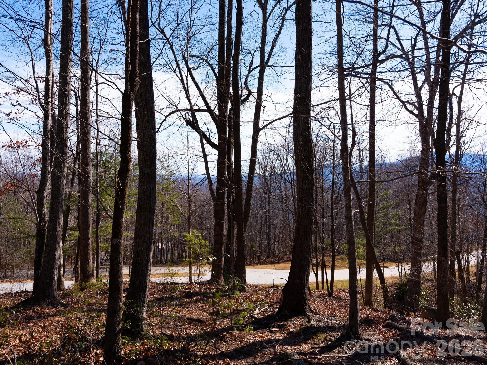 Brights Creek - Land