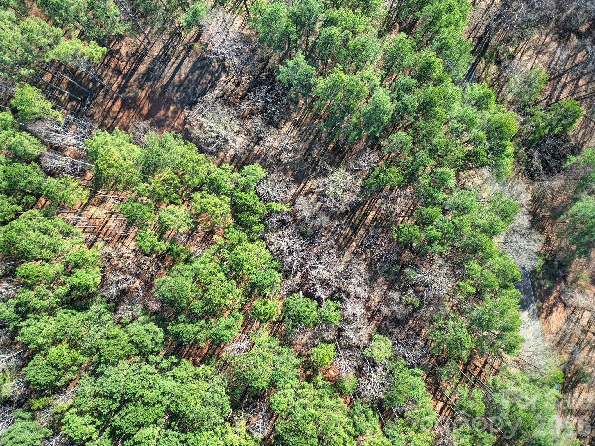 The Summit at Lake Norman - Land